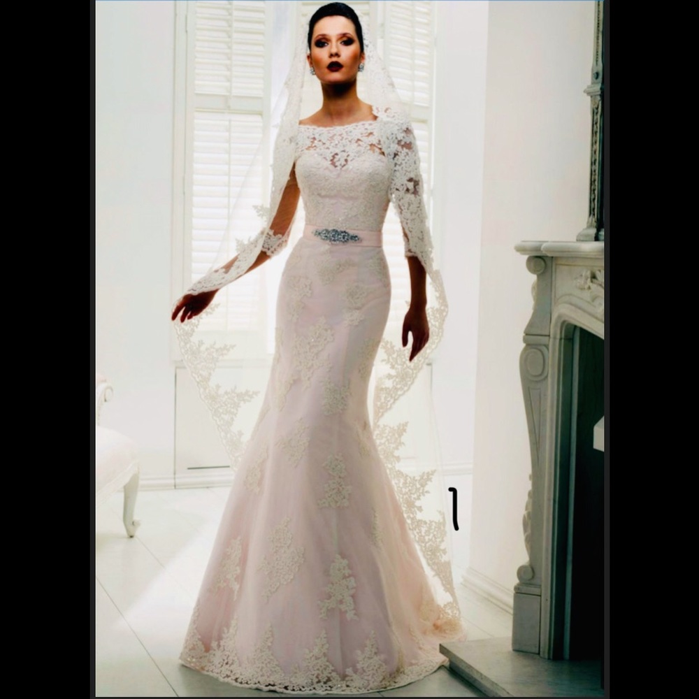 NWT Ronald Joyce Philippa Dress & Matching Veil